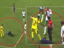 لحظة اعتداء صقر على أسبريليا