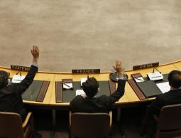 مجلس الأمن الدولى