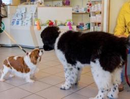 (صورة من الأرشيف)