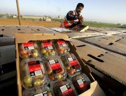 صورة من الارشيف