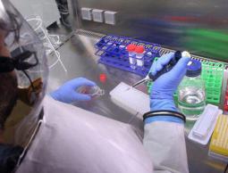 صورة من الأرشيف