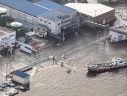 صورة من الارشيف