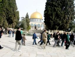 مستوطنون يقتحمون الأقصى