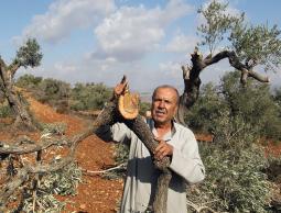 صورة ارشيفية