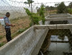 بلدية القرارة تنفذ حملة لمكافحة البعوض