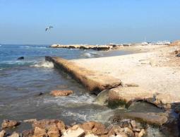 صورة توضيحية