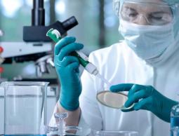 اختبار دواء لعلاج السرطان اساسه حليب الأم