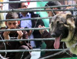 مشهد تمثيلي لمعاناة الأسرى في سجون الاحتلال (الأرشيف)