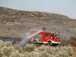 حريق يلتهم 300 شجرة زيتون جنوب نابلس