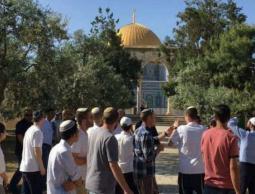 دعوات متطرفة لاستباحة الأقصى في عيد "الحانوكاة"