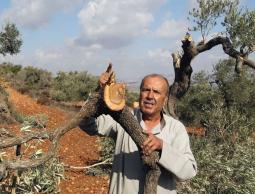 صورة_أرشيفية.