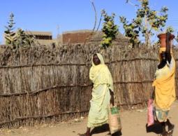   الحرب تشرد 200 ألف شخص بدارفور