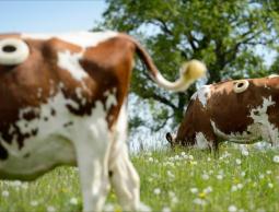 (صورة أرشيفية)