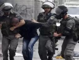 image-06-01-15-06.35