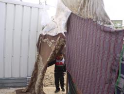 بعض النازحين بسبب الحرب الاخيرة 