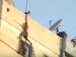 الشاب عايش على أحد الأبراج