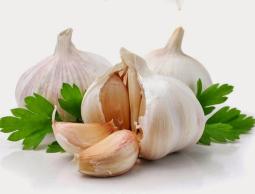 صورة "أرشيفية"