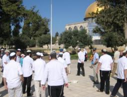 مستوطنون يقتحمون الأقصى