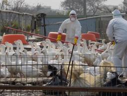 حالات الإصابة الجديدة بالصين تظهر في أشهر الشتاء