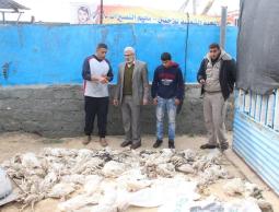 خلال الجولة