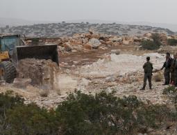 جرافات الاحتلال تقتلع الأشجار 