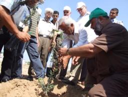 زراعة اشجار في غزة (الأرشيف)