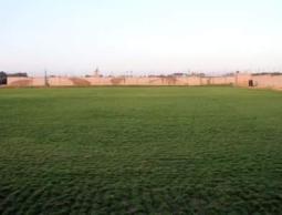 ملعب الشجاعية