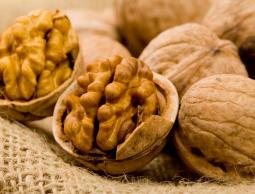 تناول حفنة من الجوز يبعد الأمراض عن الانسان 