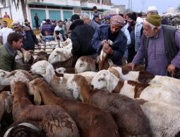 صورة ارشيفية