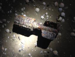 القنبلة التي اصطادها الصياد