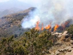 حريق ضخم يلتهم 900 دونم من جبال القدس