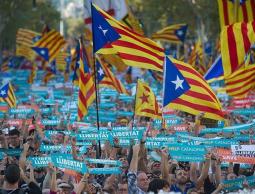 صورة توضيحية