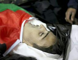 صورة للشهيد 