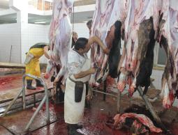 صورة ارشيفية من داخل المسلخ البلدي