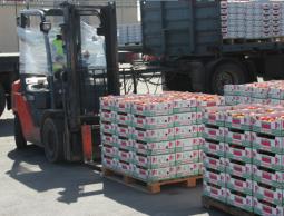 (صورة من الأرشيف)