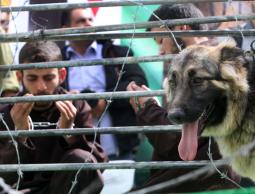 نادي الأسير: تفاقم الوضع الصحي لأربعة أسرى مرضى