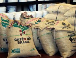  البن البرازيلي (الأرشيف)