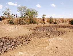 جانب من الجفاف في الصومال 