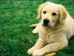 (صورة أرشيفية)