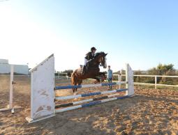 الطفلة الفارسة هلا البطراوي من غزة