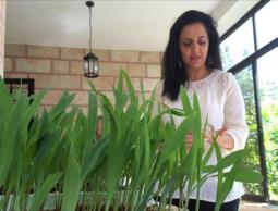 صورة تعبيرية