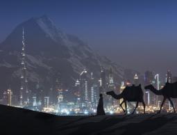 الأرشيف