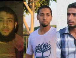 الشهداء أحمد عياد.. خليل الغرابلي.. وإبراهيم العرقان