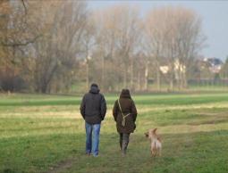 الدراسة تقول إن التعرض لشمس الصباح لمدة عشرين إلى ثلاثين دقيقة يؤثر في إنقاص الوزن