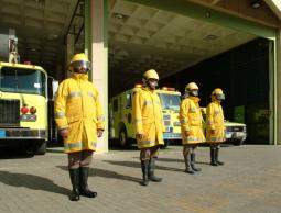 صورة من الارشيف