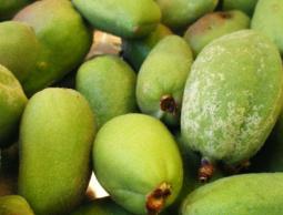 تعرفي على منافع اللوز الأخضر!