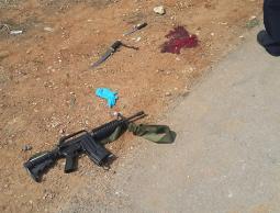 صورة للسلاح