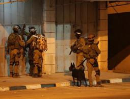 اقتحامات واعتقالات بالضفة