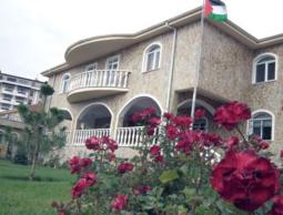 صورة من الارشيف