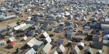 تحذير بلدية غزة.. القوارض تغزو المخيمات